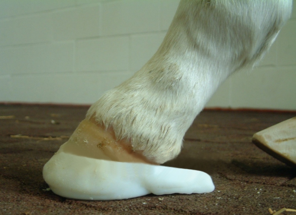 Fitted foal shoe with prefabricated caudal extension